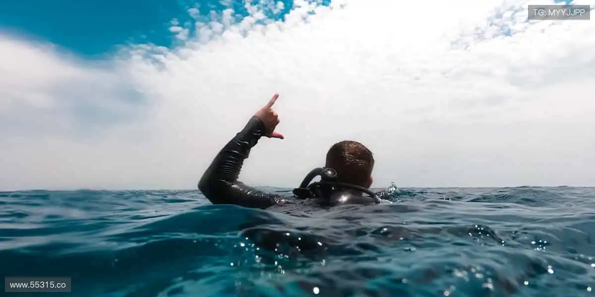 📡 无缝连接，不错过任何精彩瞬间！🌟